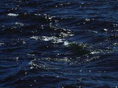 [준탯] 30-day project (完)