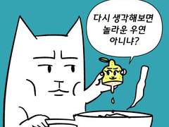 한밤중에 걸려온 수상한 전화[완]