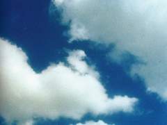 나쁜 소년이 서 있다¹