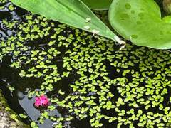 그대들에게 바랍니다