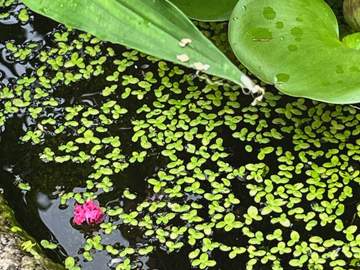 그대들에게 바랍니다