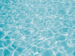 사랑은 무엇으로 사는가