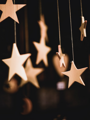 속도를 지킵시다