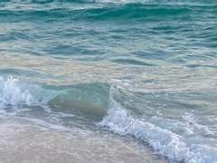 [해적] 한때 나를 지켜주던 형태 없는 것들에 대해