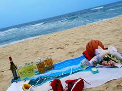 태섭백호 교류전 후기 사진有