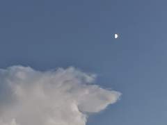 새벽이 걷는 방법 完