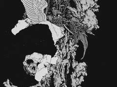 해와 금에 대한 고찰