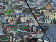 선이네 가는 길