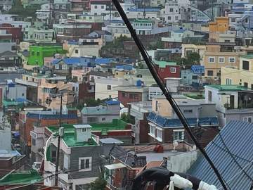 선이네 가는 길