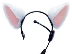 [데못죽] 네코미미 테스타 줘.