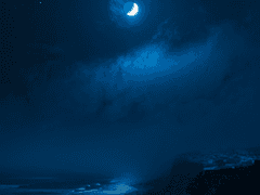 [01] 너를 사랑했기에 바다를 배울 수 있었다.