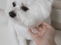 저능아 쟁탈전 - 1