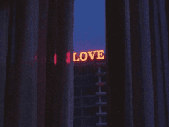 시선의 랑데뷰 02