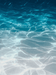 David Valentina carmen 