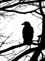 [해리포터 패러디] 오만과 편견