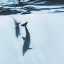 차공 탦됴 해명해