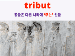 tribut