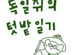 독일쥐의 텃밭일기 (1)