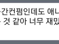 2차_드림_애니_서사 정리_대화체