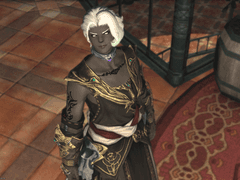 바훈투르 설정 정리함