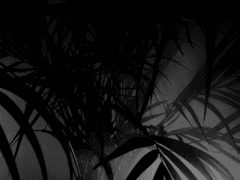 폰포코노 고교 藤原 菫 XX 19