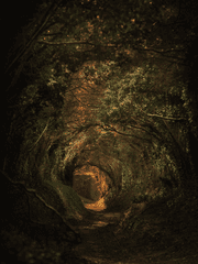 海坤道士錄 (해곤도사록)