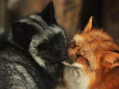 추신. 난 매일 네 생각을 해.