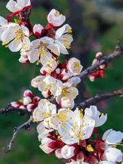 화귀 드림 백업 및 정리용