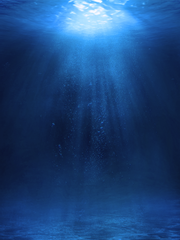 [데못죽/청려문대] Stigma;ta