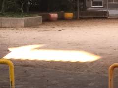 D+77 김치는 만들지 않는 것으로 하겠습니다