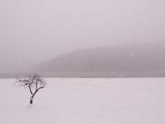 네가 사는 곳의 해는 서쪽에서 뜬다