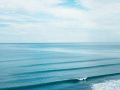 [호열백호] 응원