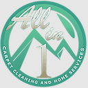 Allinonecarpetcleaning