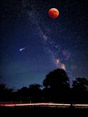 미수반and초세여