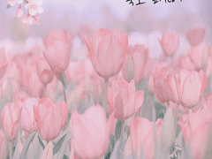 라리사는 조연인 채로 죽고 싶지않아