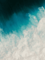 푸른 네 잎 클로버