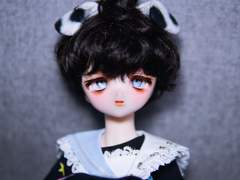 [완료]보크스 DDH-01 SW ‘봉투…‘ 였던 친구