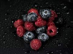 [서여커 중등부 프로필]