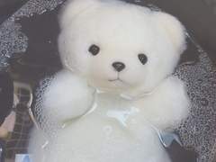 있잖아, 미워하지 말아줘.