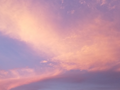 🌸尖蜜 編林_C🌸