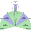 히말라야 그레이트 토마토 맛 치약