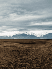 돌이킬 수 있나요