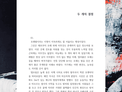 두 개의 결점