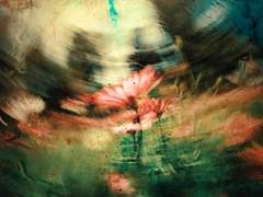 오래오래 행복하게 살았답니다.