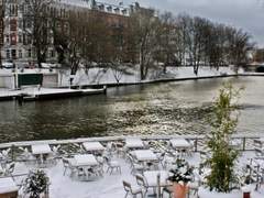 칼리아 해들리/21/XX