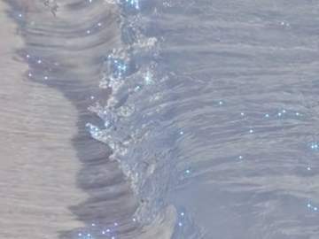 청춘은 체육대회와 함께!