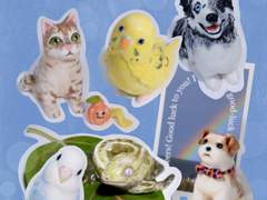 [도자기 커미션] 반려동물 커미션