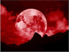 뱀파이어가 히어로란 설정인데요?