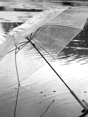 별무리 : 여우비