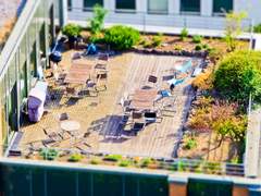 어린나이에 감방 다녀와서 아무것도 못하는 호랑이를 만난 곰 소설13